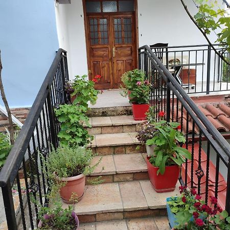 Guest House Eloid بيرات المظهر الخارجي الصورة